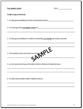Load image into Gallery viewer, Creative Connections - Grade 4 French